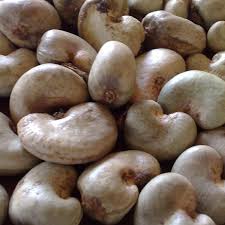 Organic Raw Cashew Nuts, Packaging Type : Sack Bags