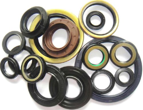 High Quality TC Viton NBR Oil Seals