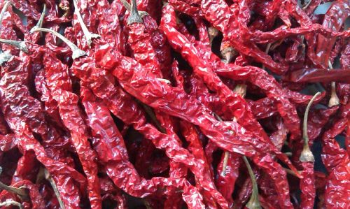 Dry red chilli, Storage Instructions : Dry Place