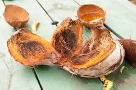 Fresh Coconut With Shell