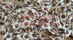 Moringa seeds