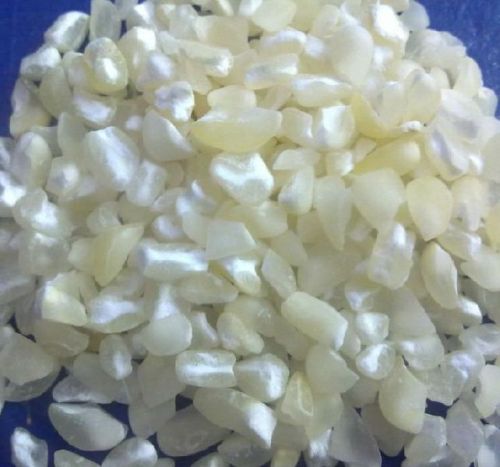 Organic GMO White Maize Seeds