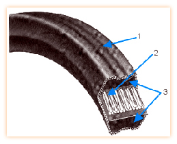 Hexagonal V-Belts