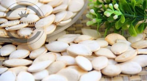 Snow White Pumpkin Seed