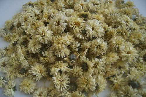 Dried Chrysanthemum Flower