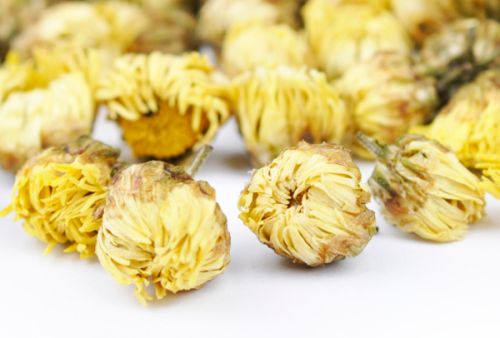 Fresh Cut Chrysanthemum Flower