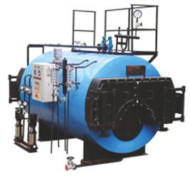 Packaged Solid Fuel Boiler