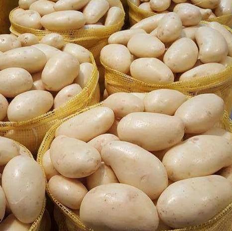 Oval Natural Fresh Pukhraj Potato, For Cooking, Packaging Size : 10-20kg