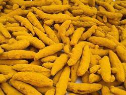 Turmeric Fingers