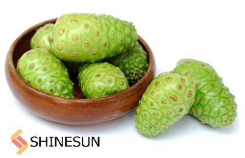 Fresh Noni Fruit, Certification : ISO, FDA