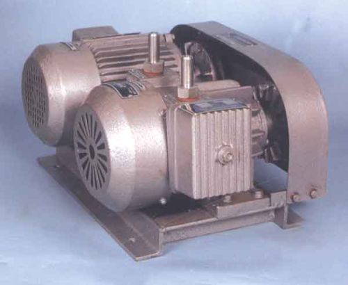 Rotary Vacuum Pumps