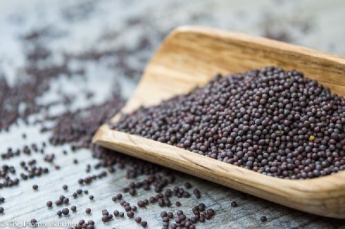 KGCPL Raw Common Best Quality Mustard Seeds, Color : Black