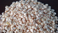 KGCPL Common White Maize, Style : Dried