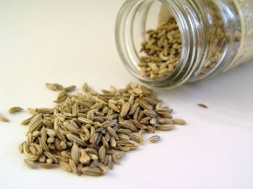 Raw Fennel Seeds, Certification : QS