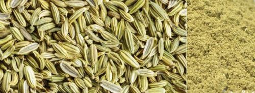 Fennel Seeds & Powder, Color : Natural Green