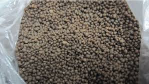 Diammonium Phosphate