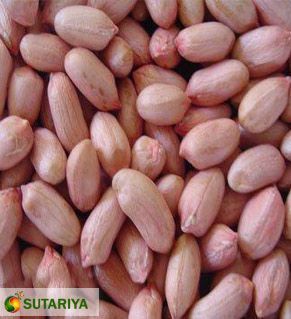 Peanut, Feature : No Preservatives, No Artificial Flavour