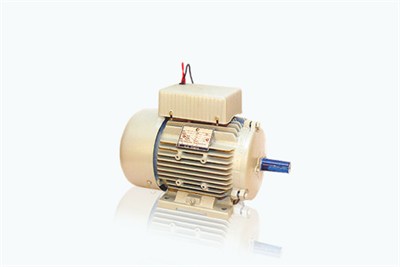 Single Phase CI Body Motors