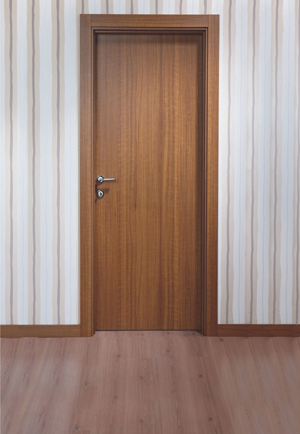 Bwp Flush Door