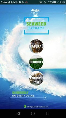 Extract Seaweed Flake Or Powder