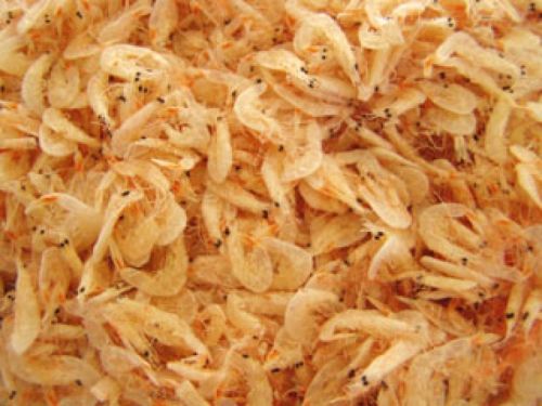 15 Days Dry Shrimps, Certification : FSSAI