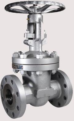 Cast Steel Gate Valve