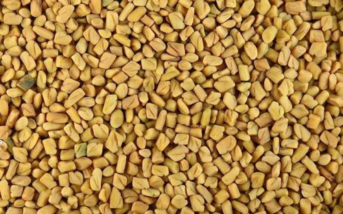 Organic Fenugreek Seed