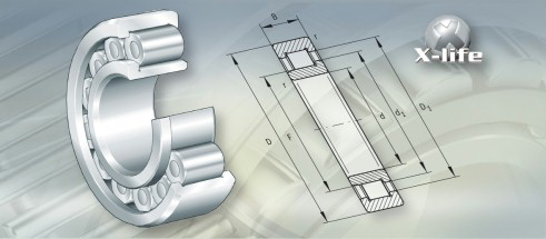 Cylindrical Roller Bearings
