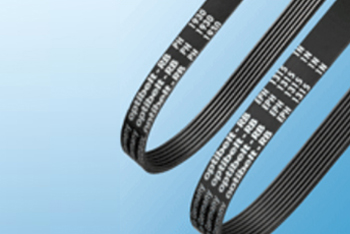 Ribbed Belts