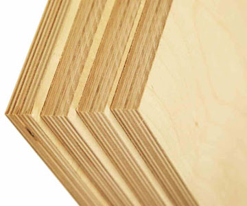 Eucalyptus Plywood