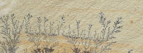 Sandstone, Material : Marble, Sandstone