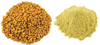 Methi Powder, Packaging Size : 100, 200, 300, 50gm ETC