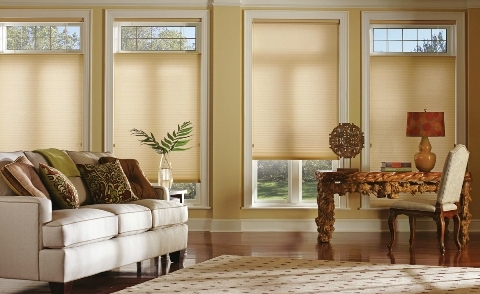 Window Blinds