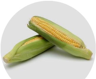 Maize