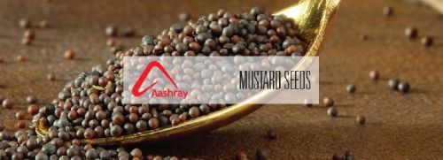 Mustard seeds, Material : Mustard