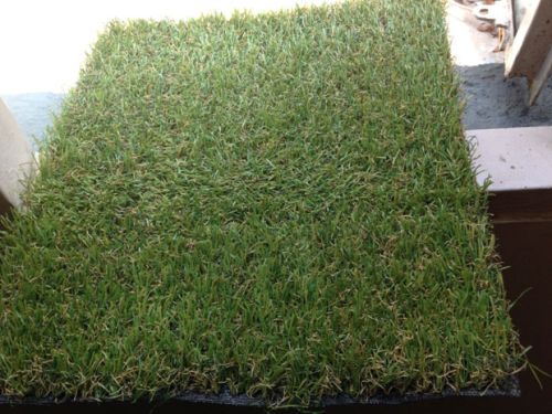 Synthetic Grass Lawn