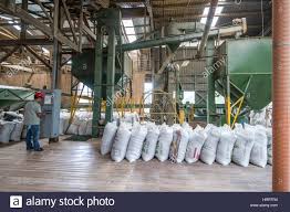 Coffee Processing Plant