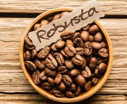 Robusta Coffee, Shelf Life : 6-12 Months