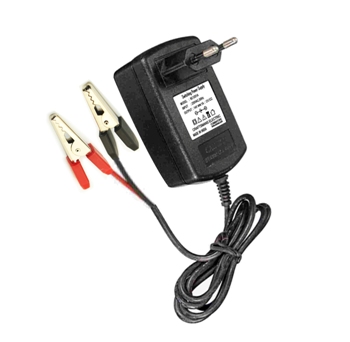 Automatic Battery Charger