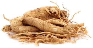 Panax Ginseng