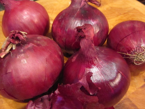 Dark Red Onion Seed