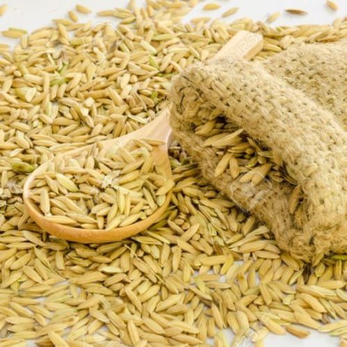 Paddy Seeds, For Agriculture, Agriculture, Style : Dried