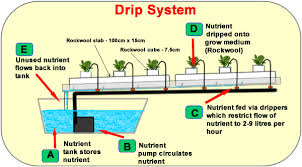 Hydroponic Systems