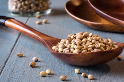 Coriander Seeds