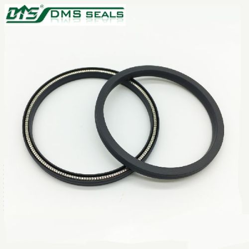 PTFE Spring Energized Seals