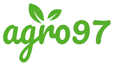 Agro 97 Star Anise Seeds, Color : Natural Brown