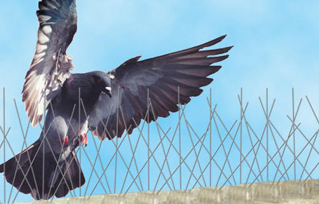 Bird Protection Netting