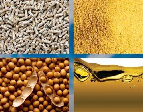 Soybean Meal, Soy Beans, Sugar Beet Pellets