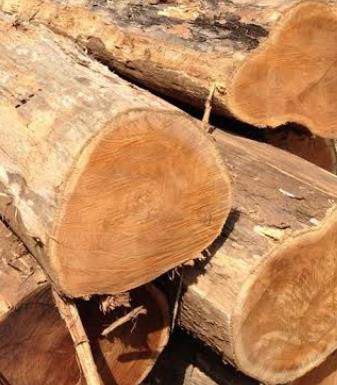 Teak wood, Material : Teak Wood