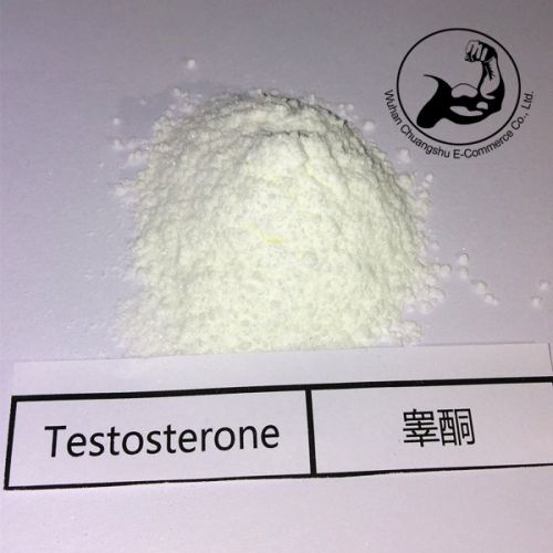 Injectable Anabolic Steroid Testosterone Decanoate For Muscle Growth